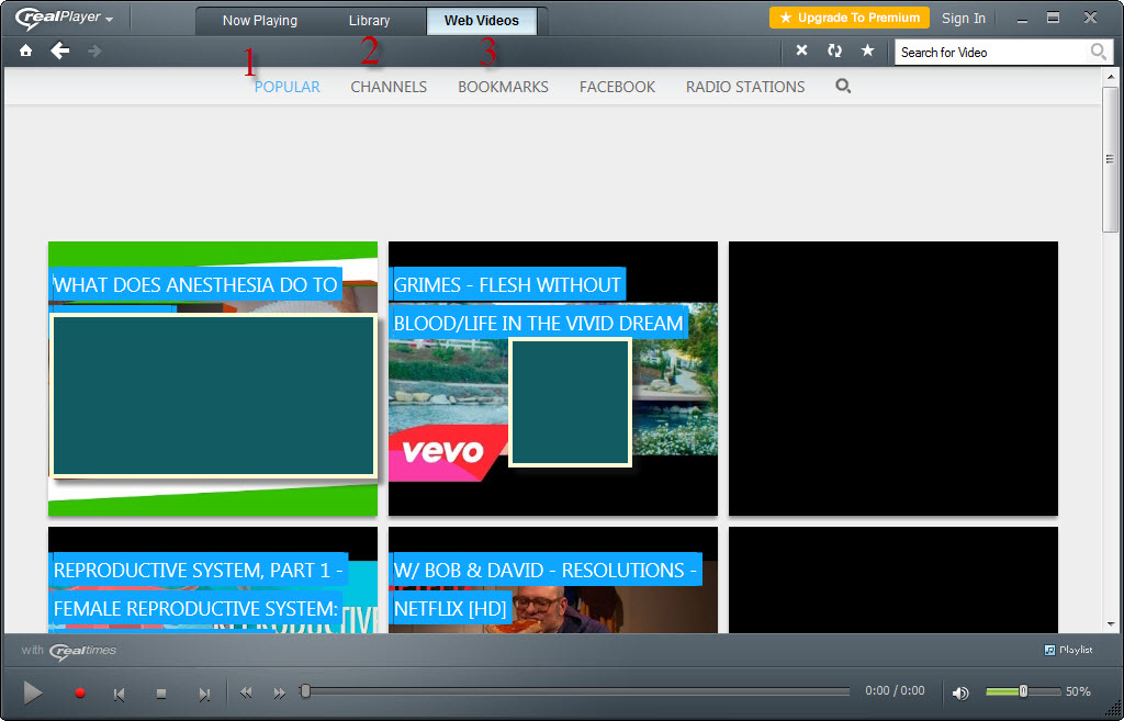 RealPlayer