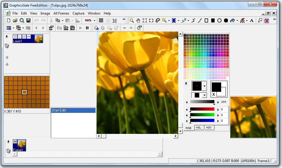 تحميل برنامج graphicsgale free edition لإنشاء الانيميشين