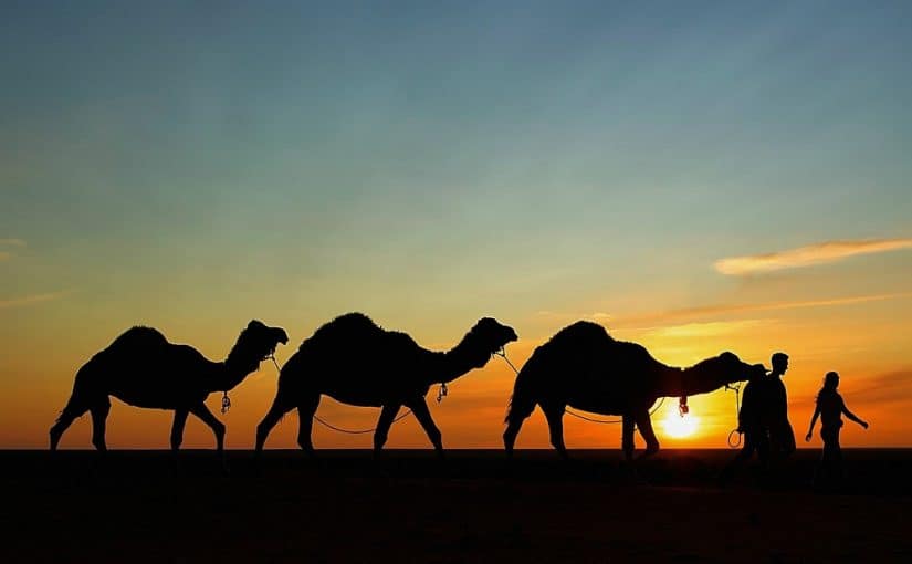قوافل التجارة القديمة